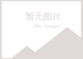 富锦白山会计有限公司